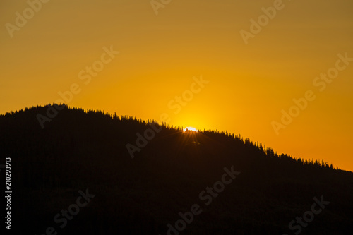 Silhouette of a Christmas tree at sunrise against the background of the Carpathian mountains in the summer. Ukraine © OlegD