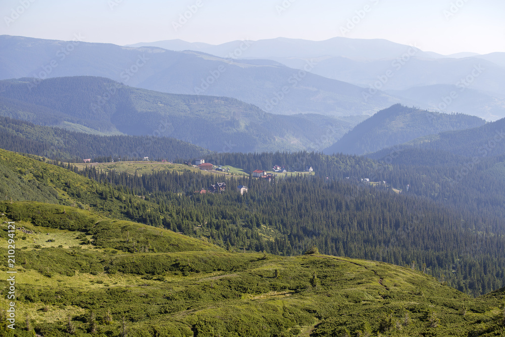 Green fir trees and houses of the village against the background of the Carpathian mountains in summer. Dragobrat, Ukraine