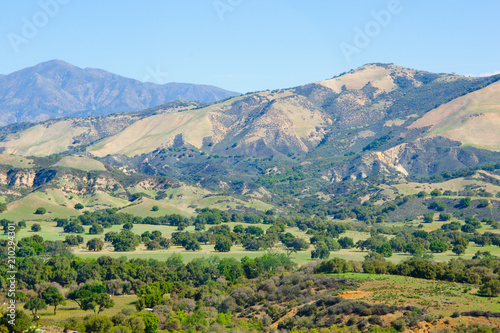 View Of Hillside in a Northern California. The sun painted the round shaped trees with amazing beautiful lighted edges in this green landscape.