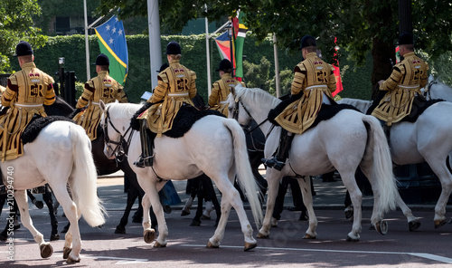Mounted band riding white horses, taking part in the Trooping the Colour annual military parade to mark Queen Elizabeth II's official birthday, The Mall outside Buckingham Palace photo
