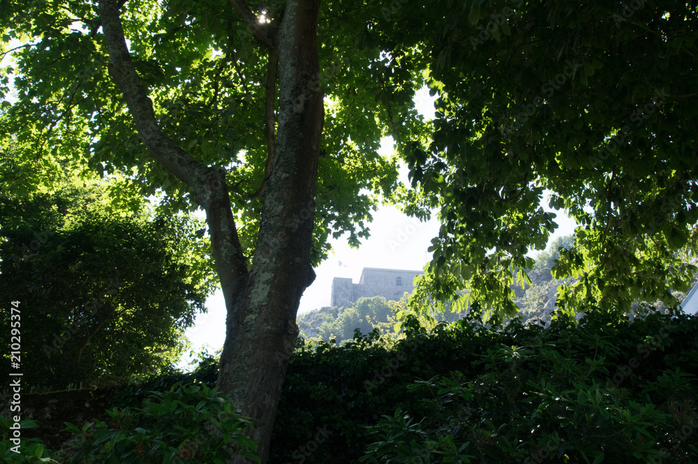 Fototapeta premium jardin de cherbourg