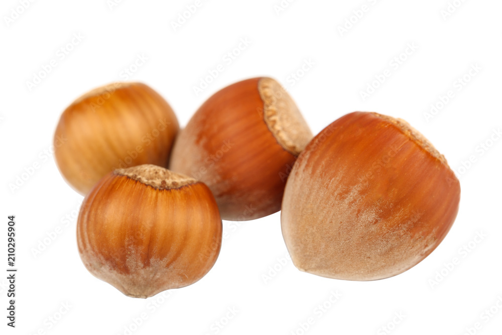 Hazelnut on a isolated on white background Hazelnut on a isolated on white background