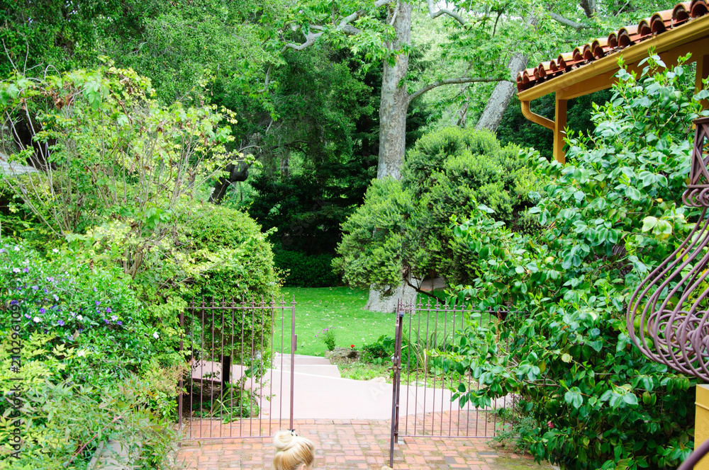 Green summer backyard garden with grass and passway Green summer backyard garden with grass and passway