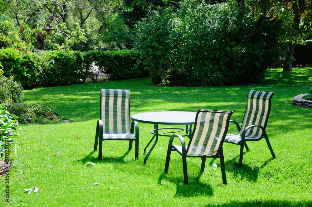 Green summer backyard garden with grass, table and chairs