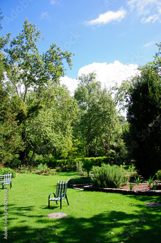 Green summer backyard garden with grass, table and chairs