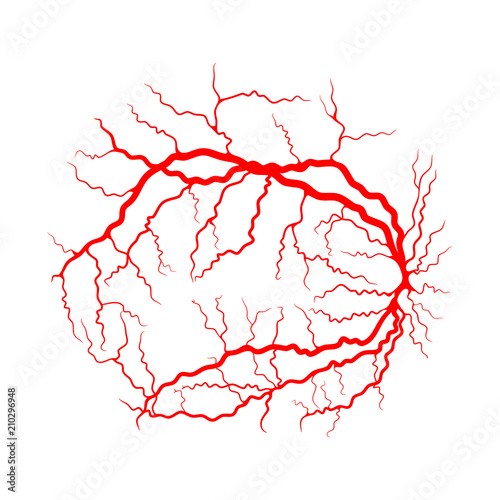 eye vein system x ray angiography vector design isolated on white