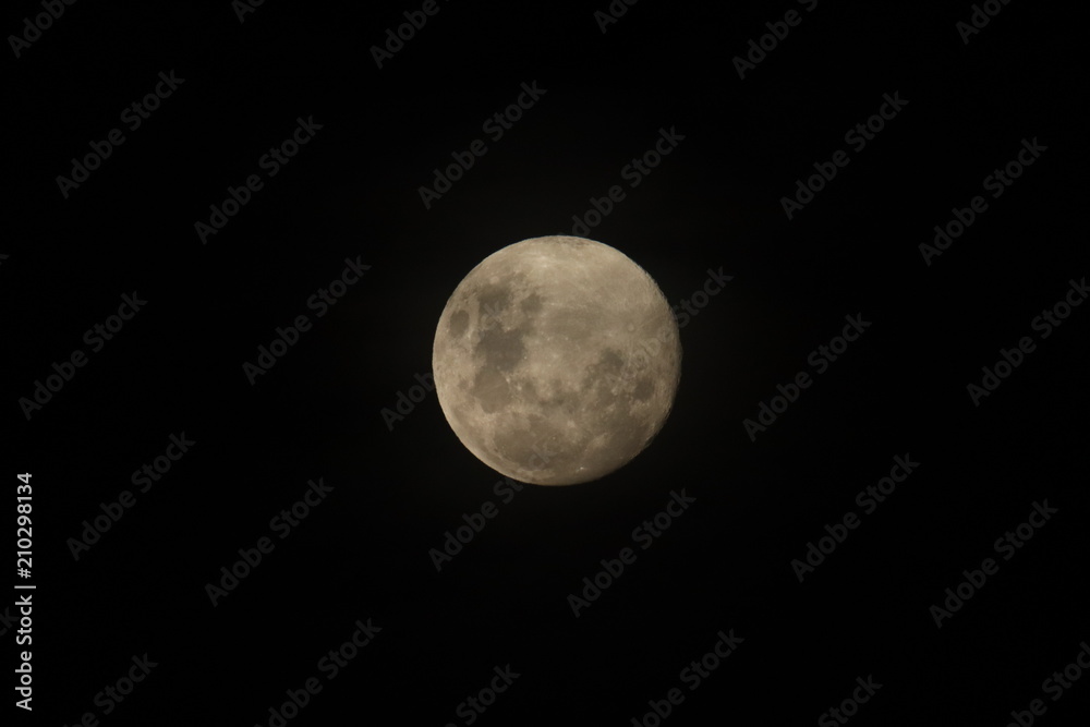 Moon beauty Moon beauty