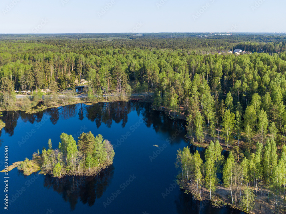 Aerial view of a forest lake 