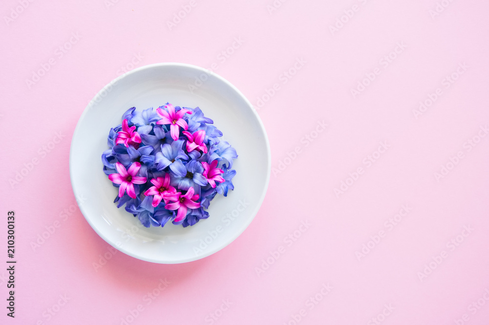 Group of violet and magenta petals of hyacinth flower on pink background. Top view. Group of violet and magenta petals of hyacinth flower on pink background. Top view.