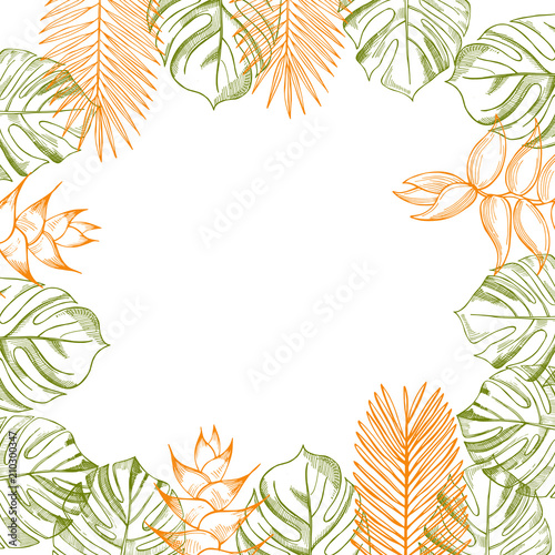 Vector background with  hand drawn tropical plants. Leaves and flowers.