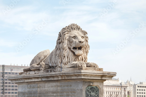 Scaring stone lion from the Chain Bridge across the river Danube in Budapest