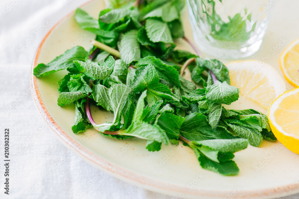 Mint leaves slices of lemon on a plate. White background. Close up. Mint leaves slices of lemon on a plate. White background. Close up.