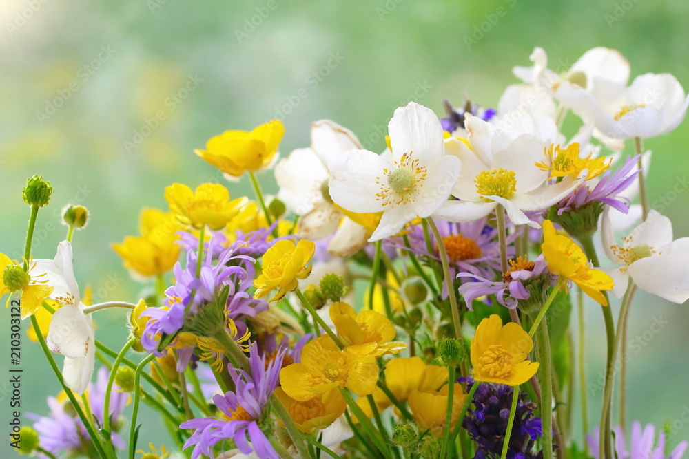 Fototapeta premium Bouquet of wild beautiful flowers