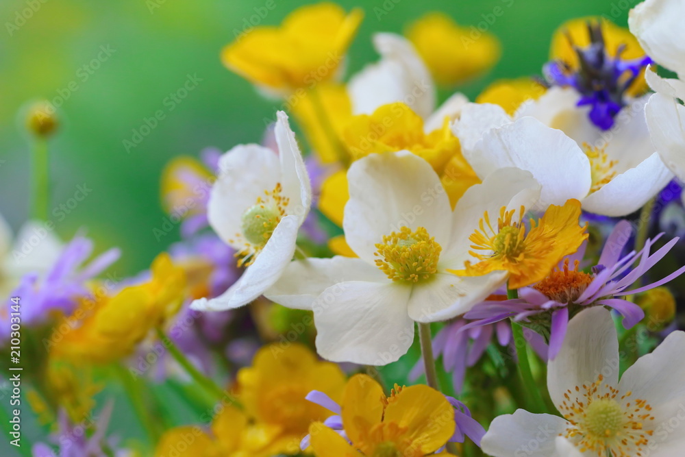 Obraz premium Bouquet of wild beautiful flowers