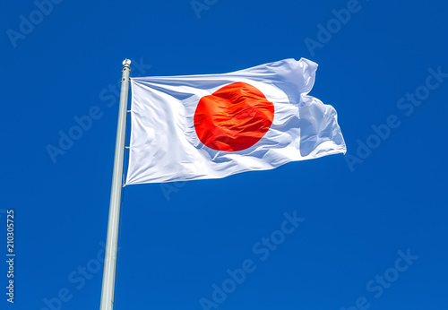 Flag of Japan waving in the wind against the sky