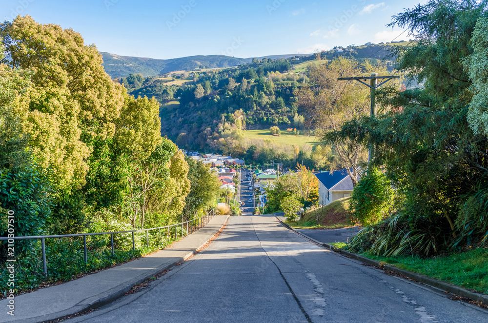 Fototapeta premium Baldwin Street which is located in Dunedin,New Zealand is the world steepest street in the world.