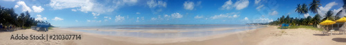 Panorama da Praia de Maragogi