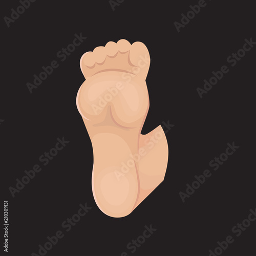 Human foot vector art.