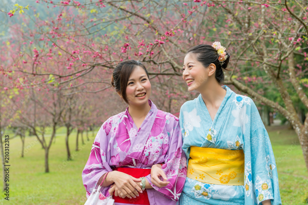 women chat together under the cherry blossom tree women chat together under the cherry blossom tree