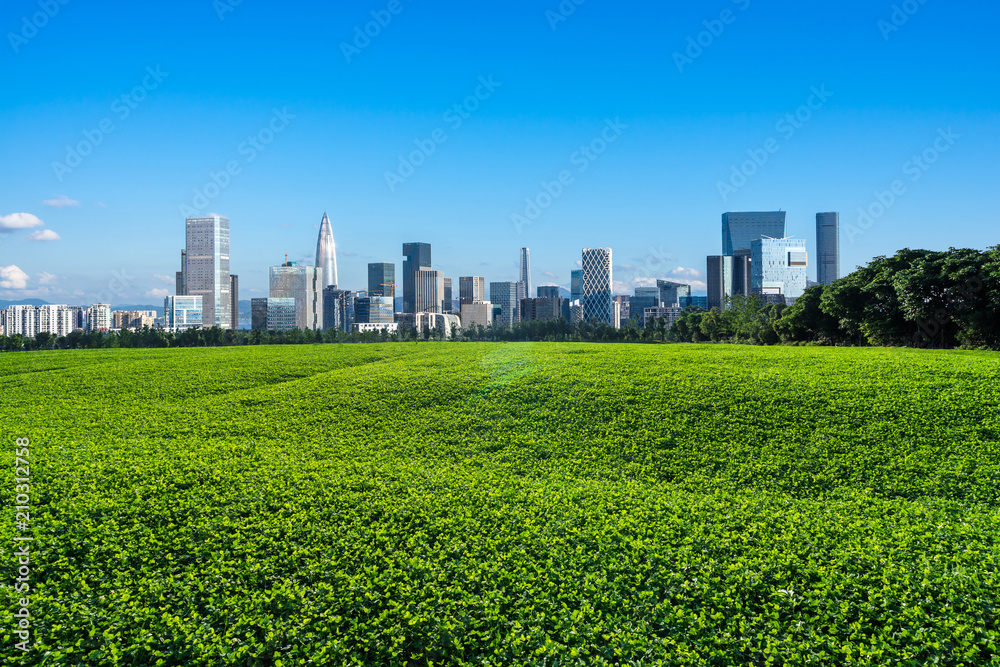 green lawn with city skyline green lawn with city skyline