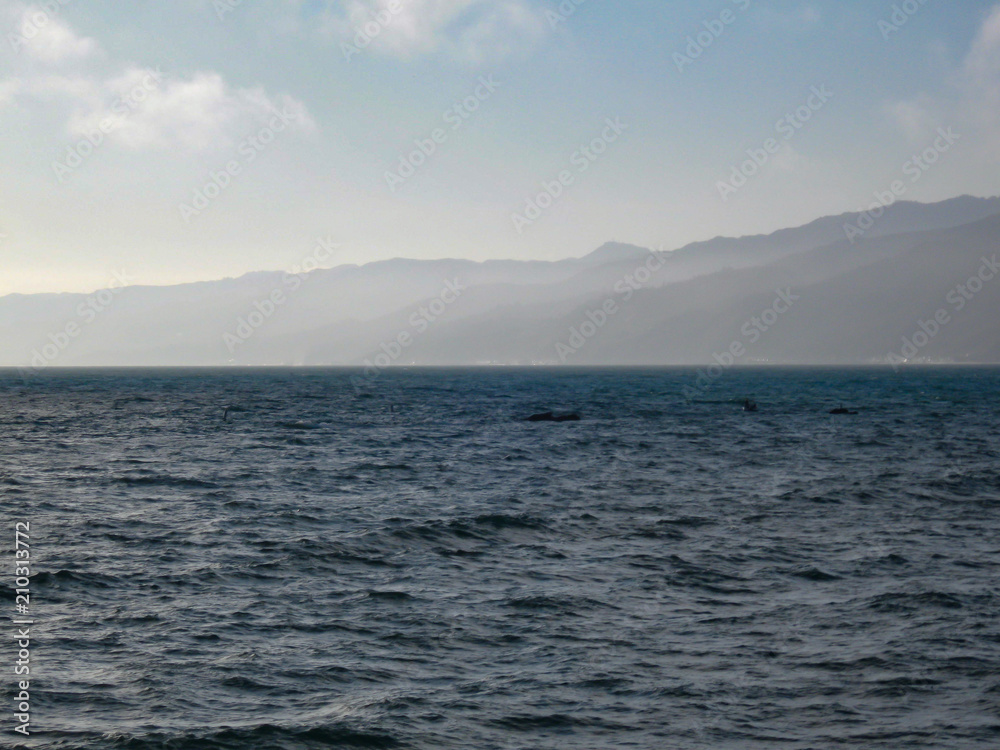 The Pacific Ocean with mountains and sky overhead.