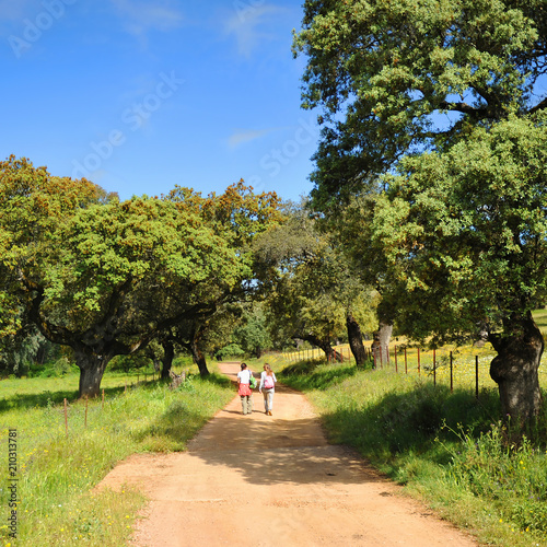 Women walking down the Sierra de Aracena Natural Park and Picos de Aroche near Canaveral de Leon, Sierra de Huelva, Andalucia, Spain photo