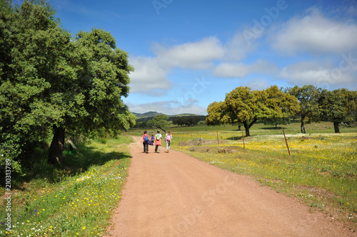 Mujeres senderistas caminando por el Parque Natural Sierra de Aracena y Picos de Aroche, provincia de Huelva, Andalucía, España photo