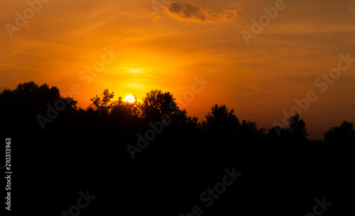 Beautiful fairy tale dark evening landscape with orange and red sun and sky with clouds and black trees silhouette