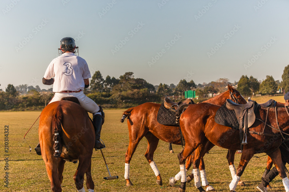 Polo Rider Changes Horse Game Action Polo Rider Changes Horse Game Action