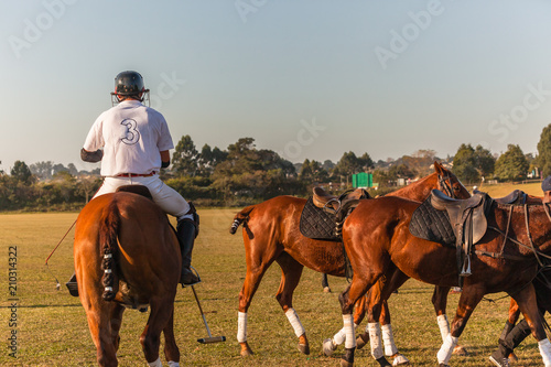 Polo Rider Changes Horse Game Action