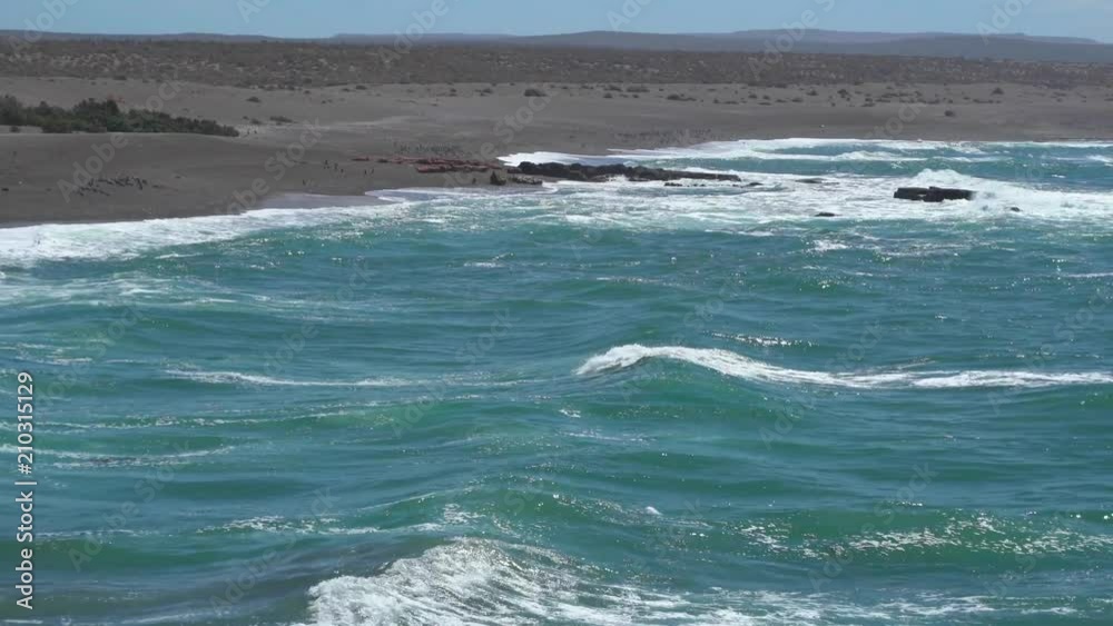 Puerto Madryn Pinguins on the Beach and beautiful landscapes of Argentina Puerto Madryn Pinguins on the Beach and beautiful landscapes of Argentina
