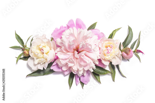 Floral composition with pink peony flowers on white