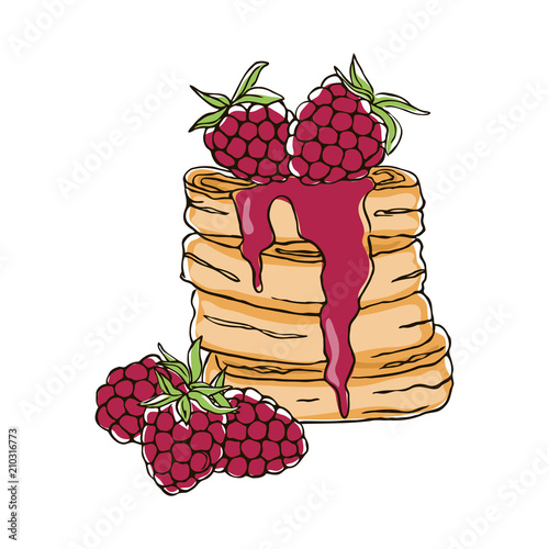 vector contour color red raspberry berry leaf pancake cake jam set dessert  on white