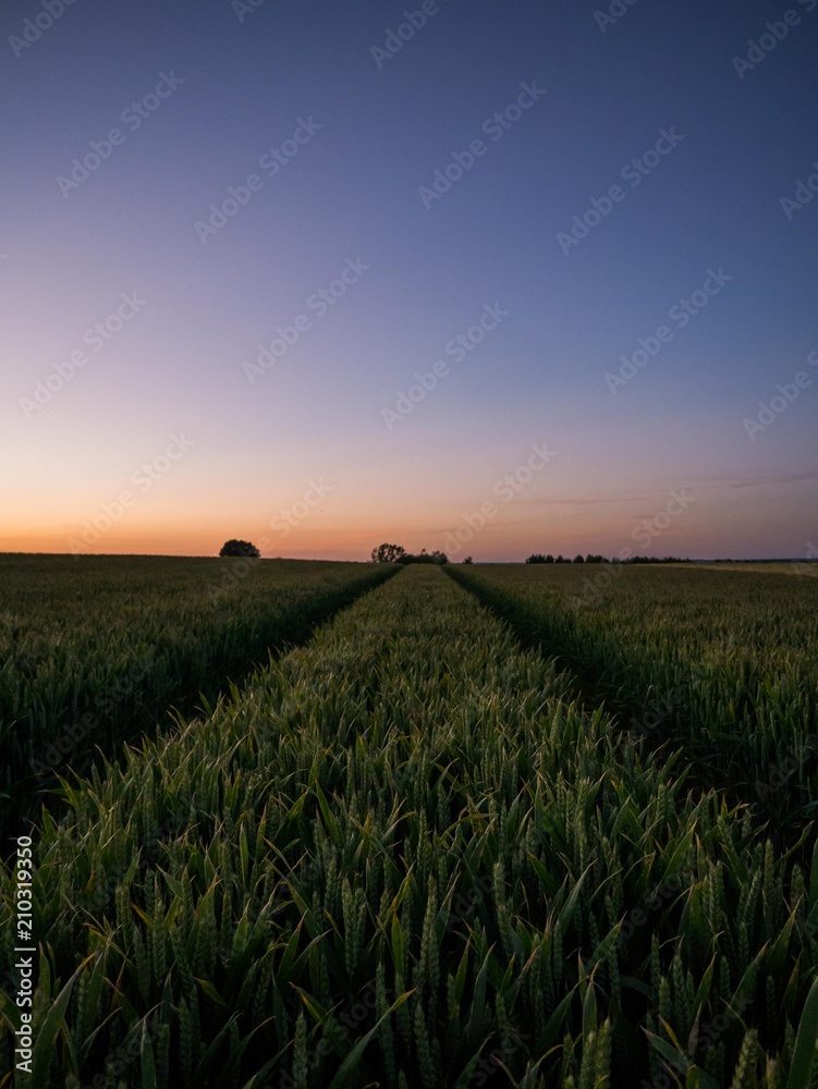 Summer Solstice Sunset