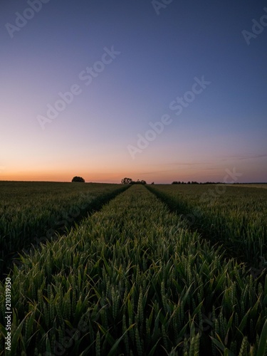 Summer Solstice Sunset