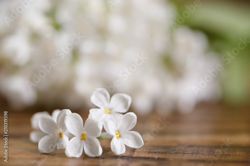 Delicate and beautiful flowers of white lilac on a wooden background. Close-up.