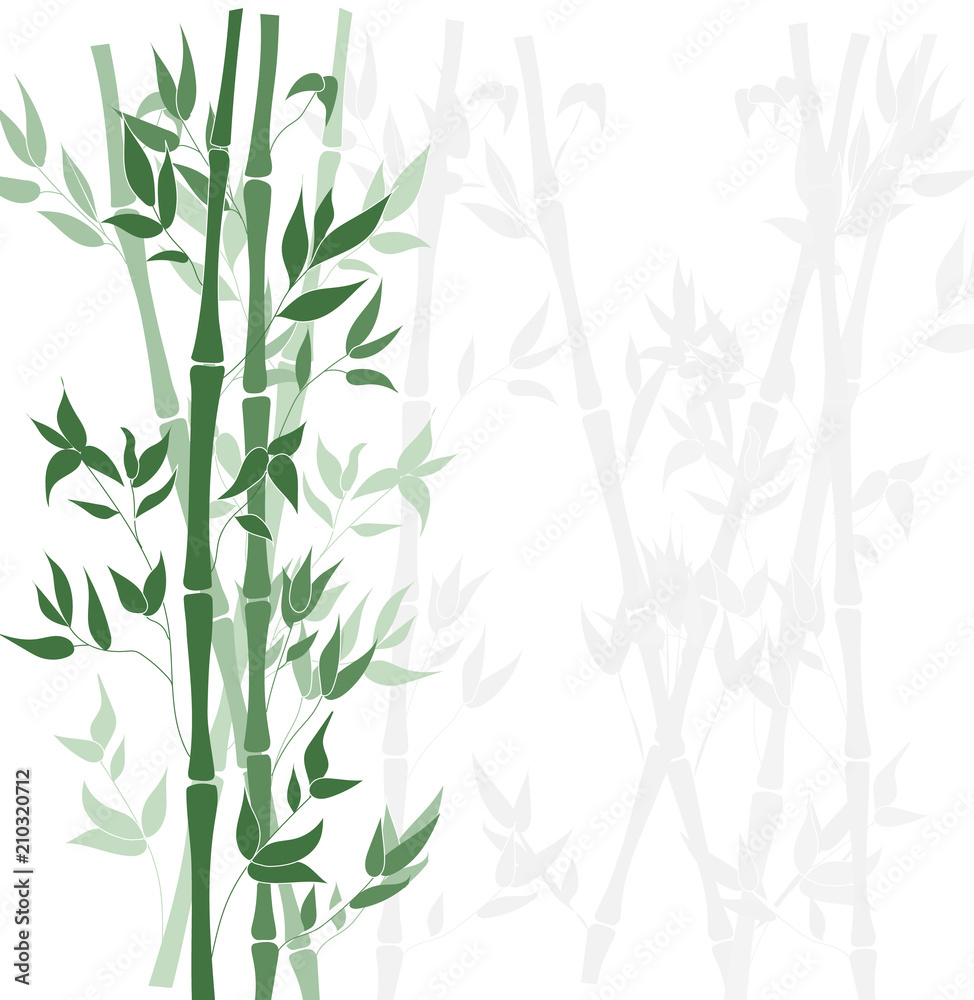 Vector Bamboo Forest Background, Flat Design Template.
