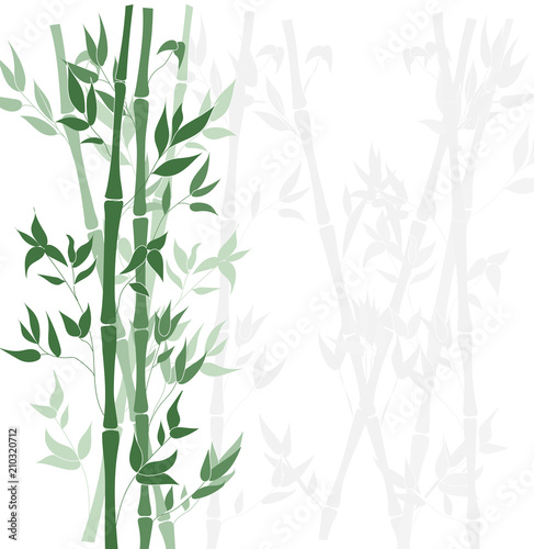 Vector Bamboo Forest Background, Flat Design Template.
