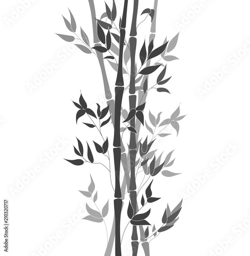Fototapeta Naklejka Na Ścianę i Meble -  Vector Bamboo Stem Leaves, Black and White Ilustration, Decorative Element Background.