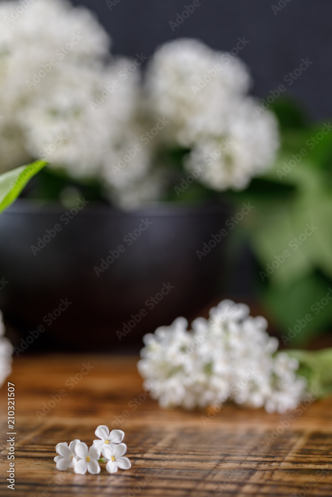 Beautiful flowers of snow-white lilac in a refined black cup on a wooden background. Beautiful flowers of snow-white lilac in a refined black cup on a wooden background.