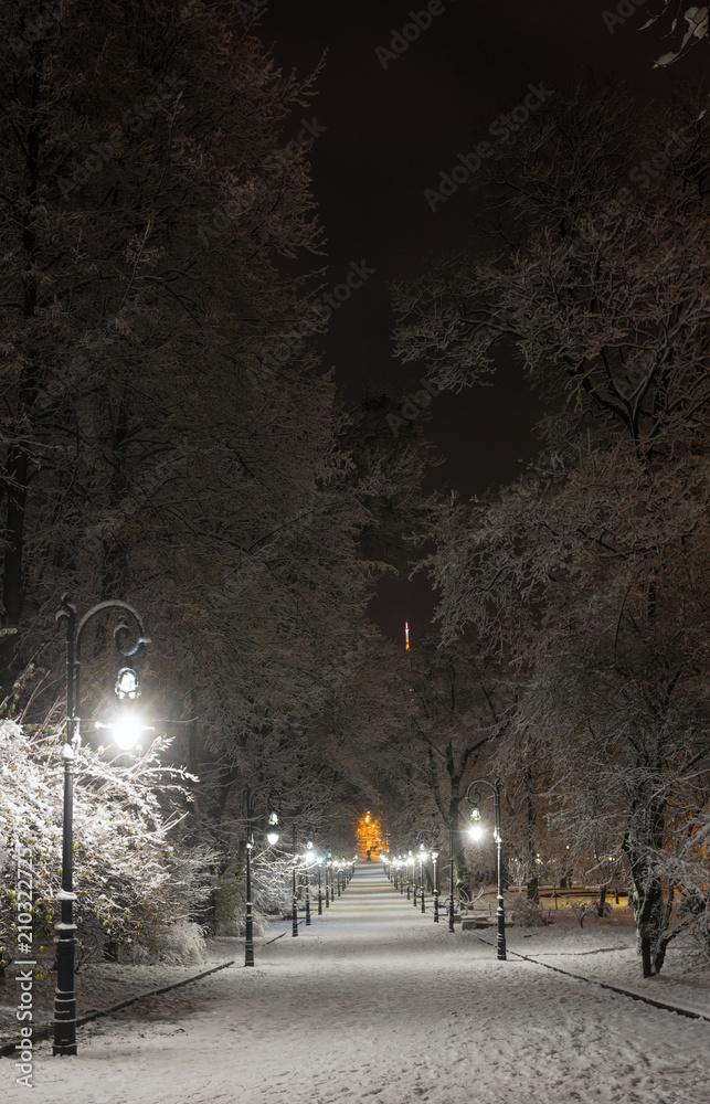 Night winter Ivan Franko park walkway in Lviv, Ukraine Night winter Ivan Franko park walkway in Lviv, Ukraine