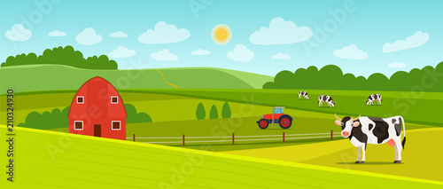 Summer landscape with farmhouse,  tractor and herd of cows on the field. Vector flat style illustration