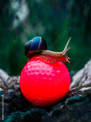 A big colorful snail sitting on the pink golf ball. Slow and lazy game play concept.
