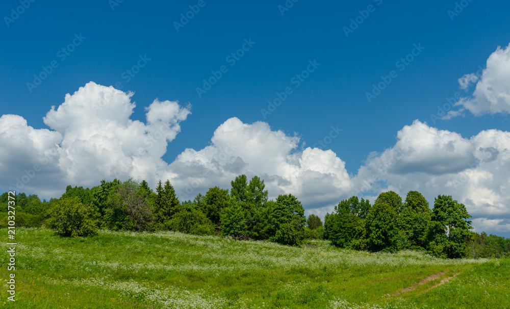 Green field on a sunny day, blue sky with clouds Green field on a sunny day, blue sky with clouds