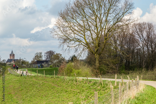 Walking alkong the dyke near Lienden in the Betuwe fruit region in the Netherlands