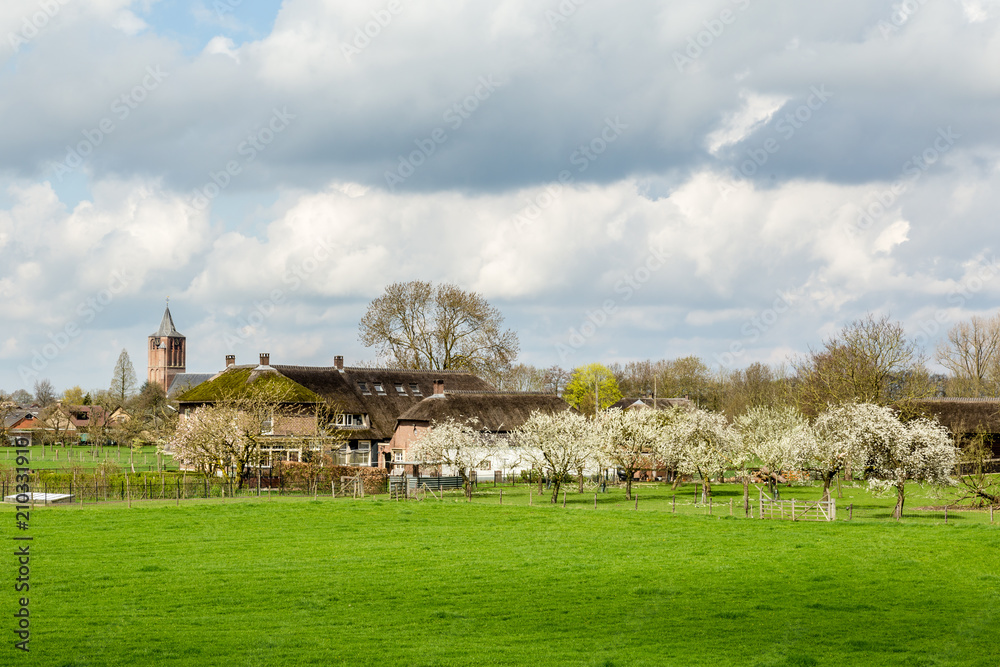 View from the dyke  in the Betuwe fruit region in the Netherlands