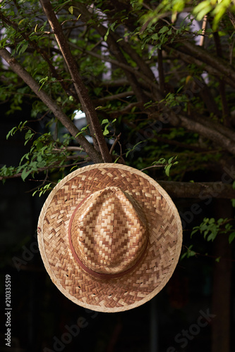 Hat weave on the tree.