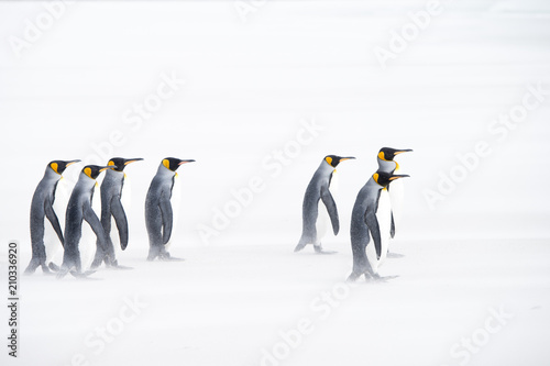 Penguins walking on sand