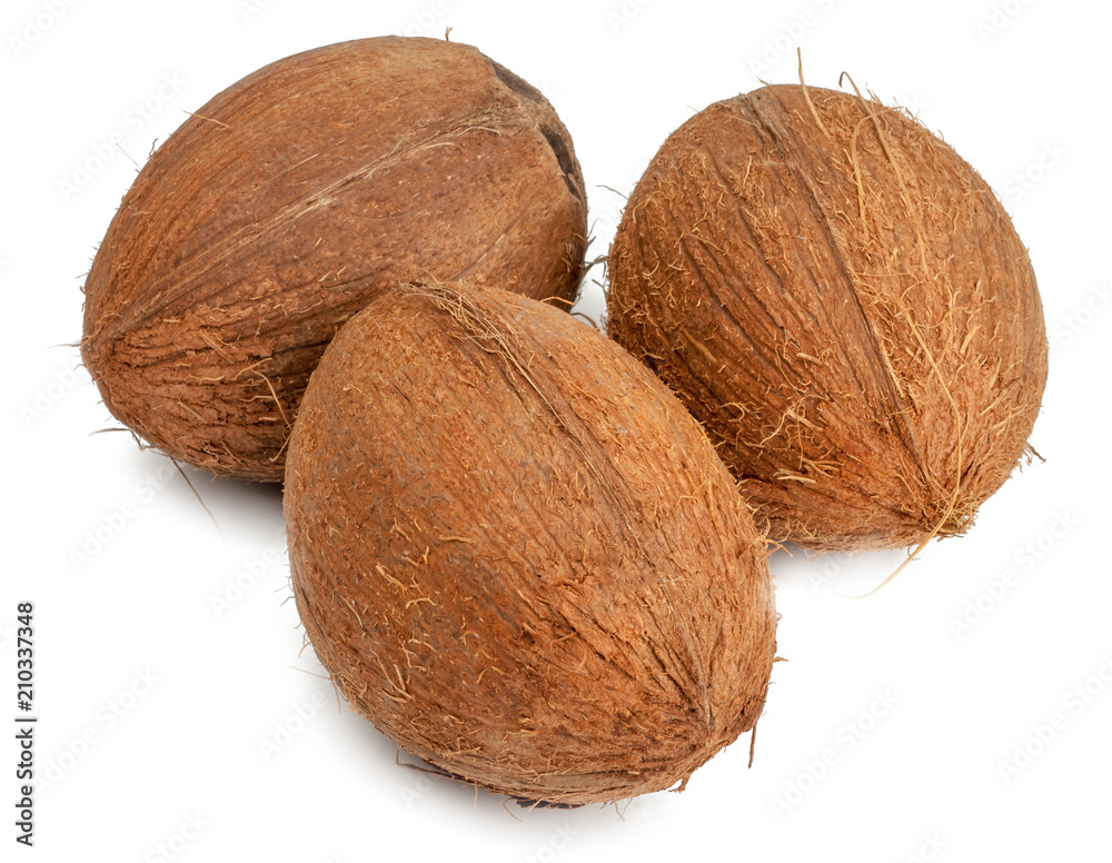 Coconuts isolated on white background Coconuts isolated on white background