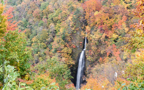 Tsumijikura Taki waterfall Fukushima photo